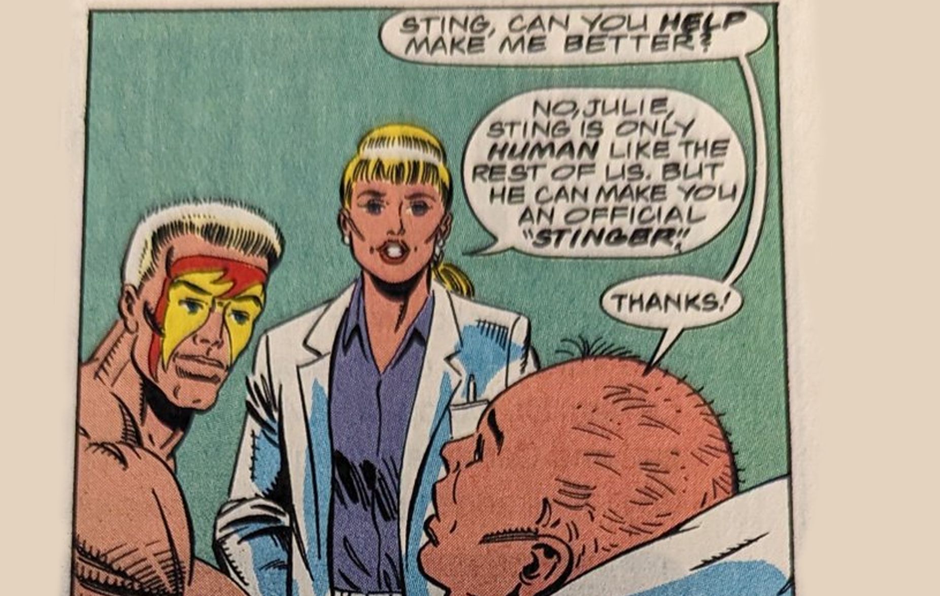 Wrestling Legends Celebrate National Comic Book Day with Classic Comic Strips